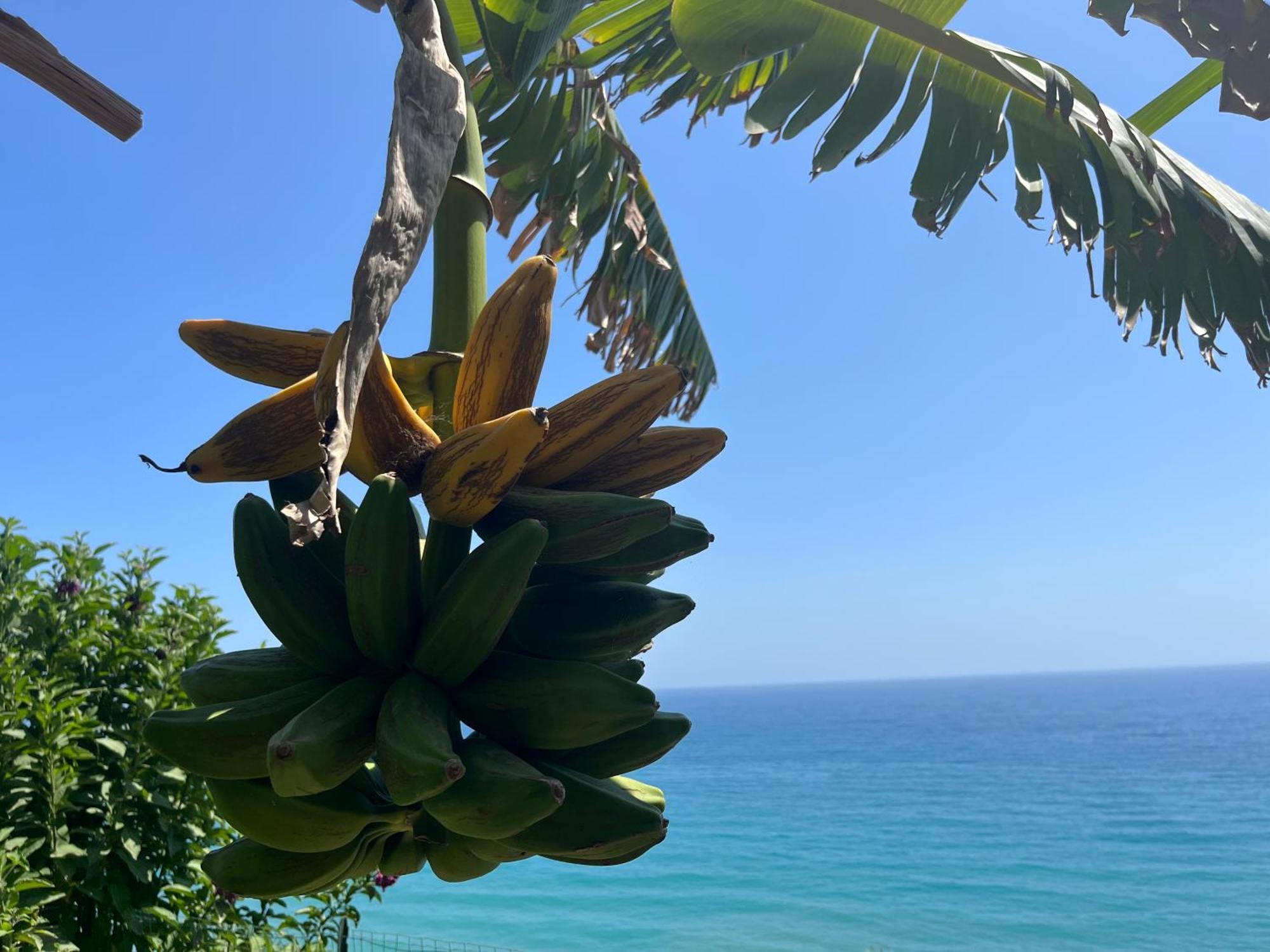 Casa Monnalisa - Calandre Sabbie Oro Villa Ventimiglia Kültér fotó
